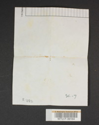Image of 