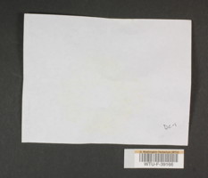 Image of 