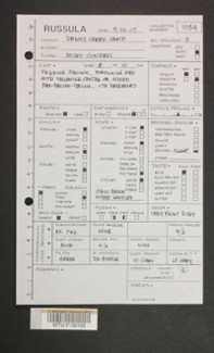 Image of 