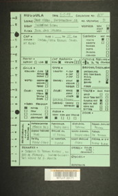 Image of 