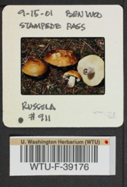 Image of 