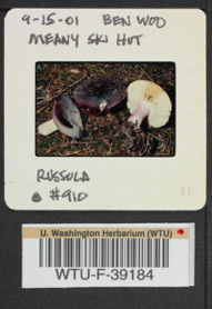 Image of 