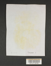 Image of 