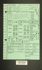 Image of 