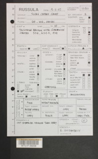 Image of 