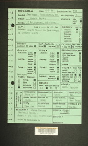 Image of 